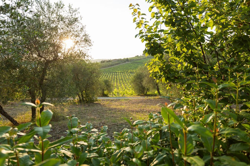Tenuta Di Monaciano Ponte A Bozzone Εξωτερικό φωτογραφία