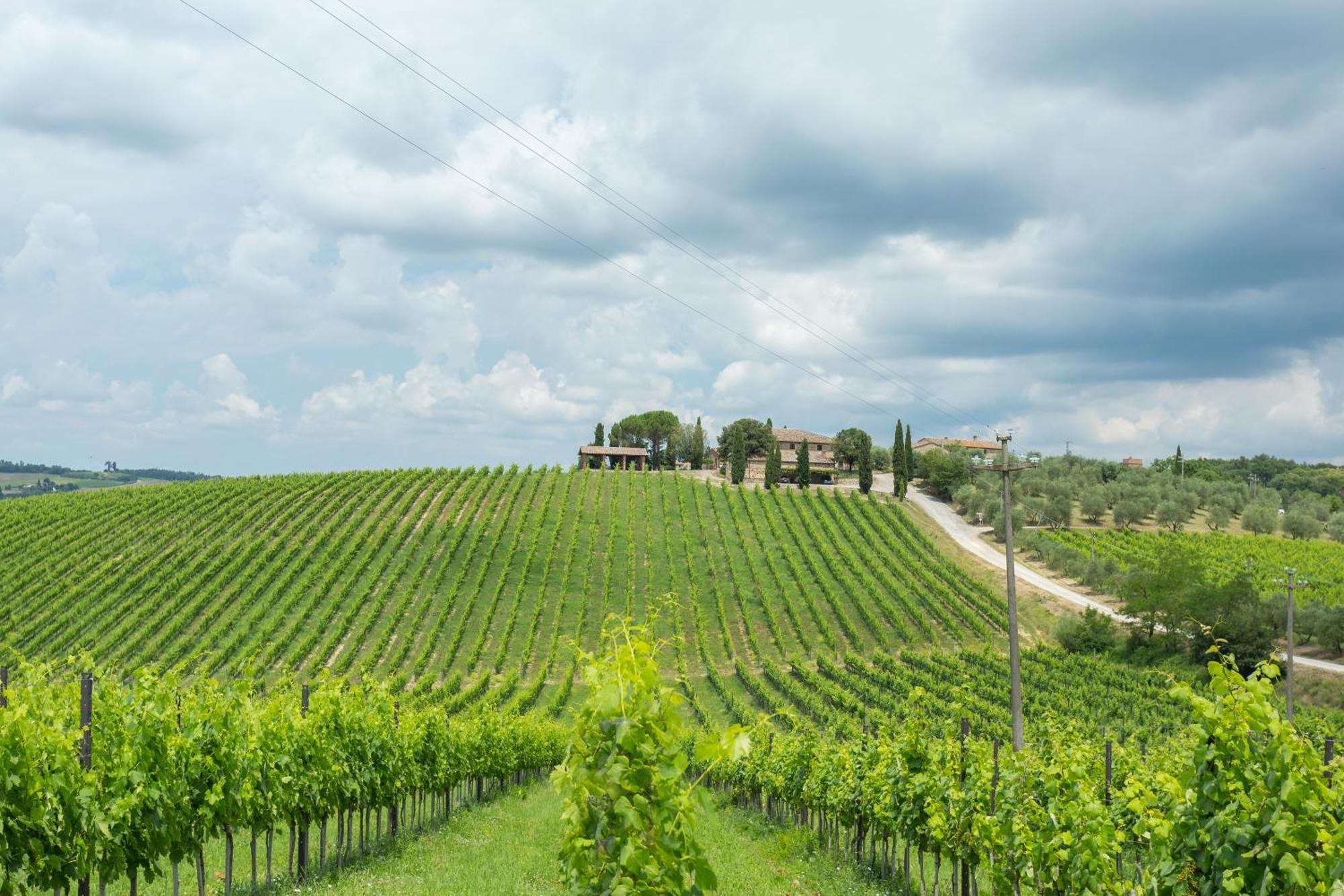 Tenuta Di Monaciano Ponte A Bozzone Δωμάτιο φωτογραφία