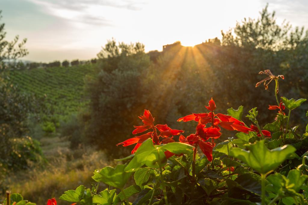 Tenuta Di Monaciano Ponte A Bozzone Εξωτερικό φωτογραφία