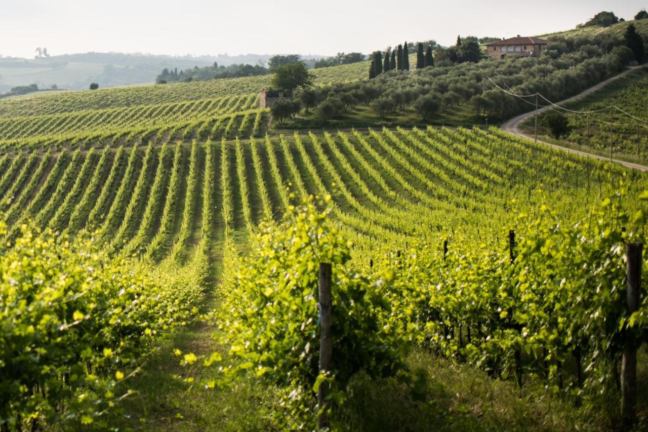 Tenuta Di Monaciano Ponte A Bozzone Εξωτερικό φωτογραφία